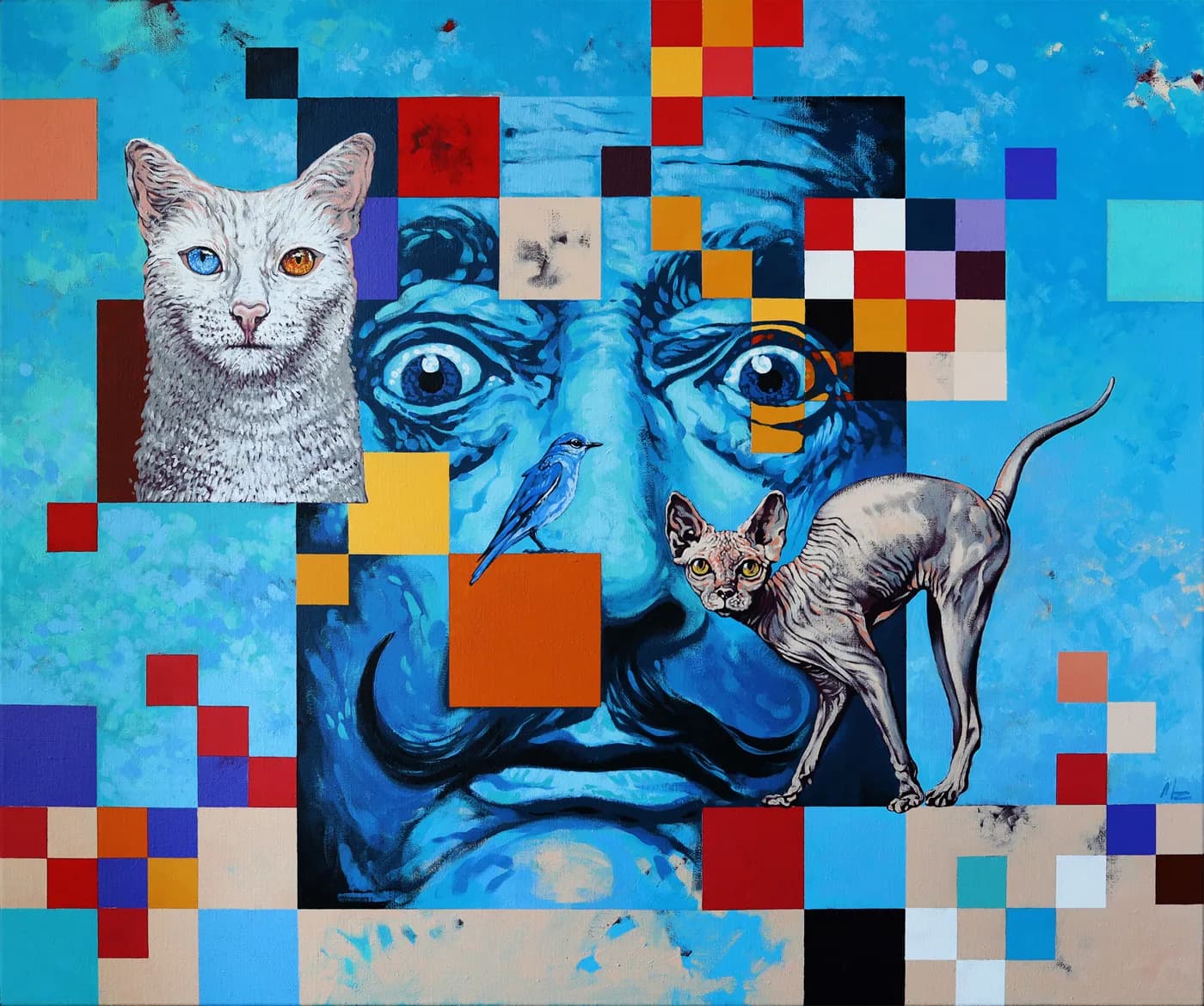 Salvador
